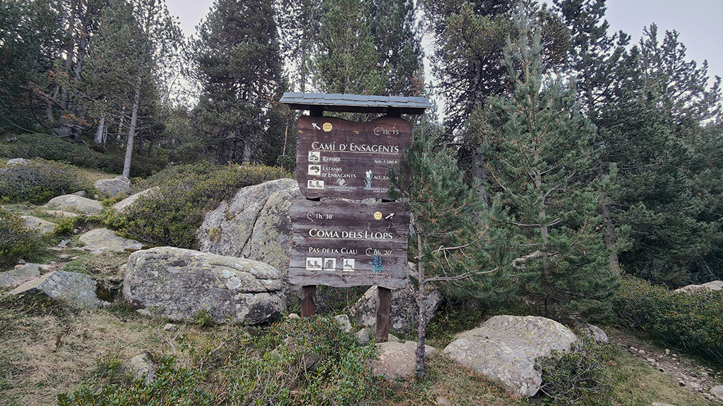 0002_ALT DEL GRIU