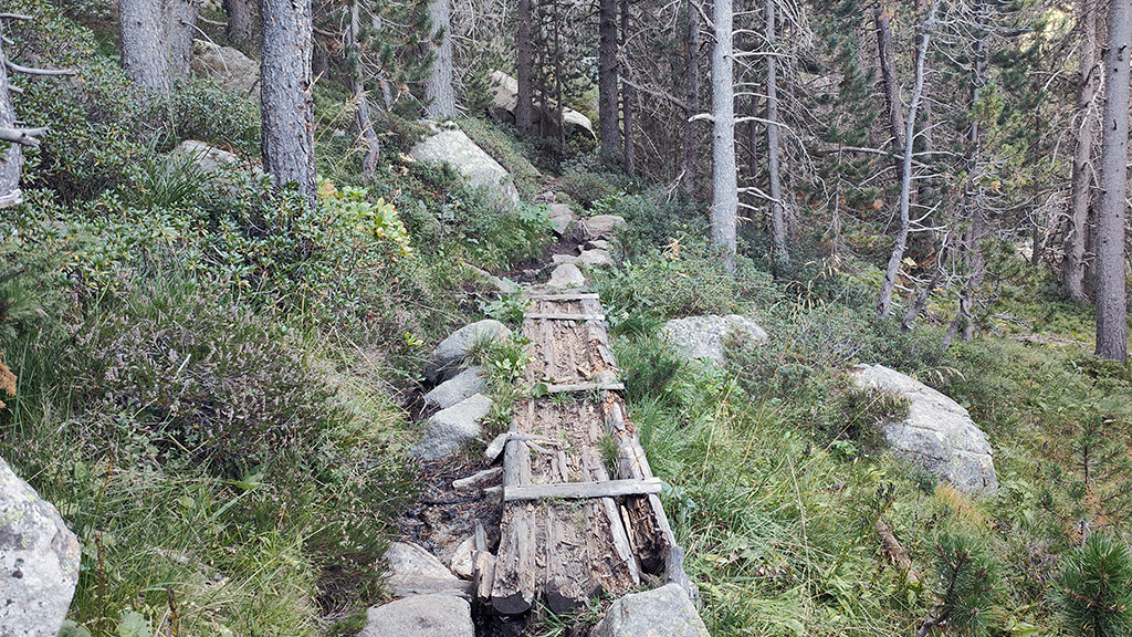 0003_ALT DEL GRIU