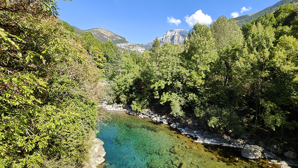 009_BROTO-TORLA