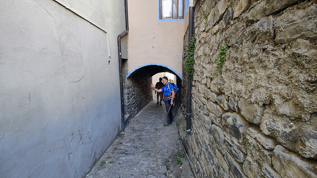 015_BROTO-TORLA